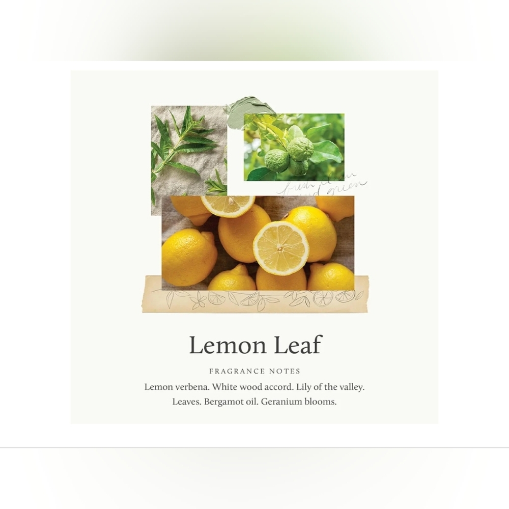 Thymes x Pura 4 - Smart Home Fragrance Diffuser Kit - Mandarin Coriander & Lemon - Picture 10 of 11